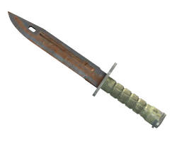 ★ Bayonet | Rust Coat