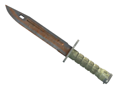 Bayonet ★ StatTrak™ | Rust Coat