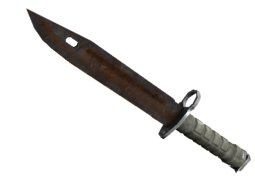 ★ Bayonet | Rust Coat