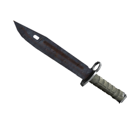 free csgo skin ★ StatTrak™ Bayonet | Rust Coat (Well-Worn)