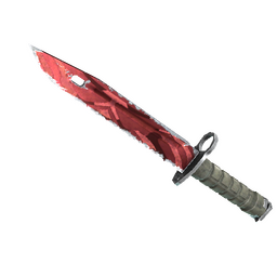 free csgo skin ★ StatTrak™ Bayonet | Slaughter (Field-Tested)