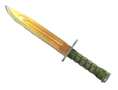 ★ StatTrak™ Bayonet | Lore (Field-Tested)