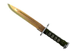 ★ Bayonet | Lore