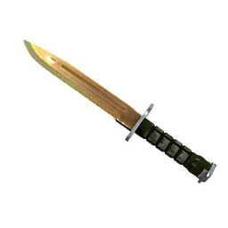 ★ Bayonet | Lore (Well-Worn)