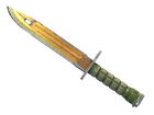 ★ Bayonet | Lore