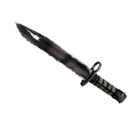 free csgo skin ★ Bayonet | Scorched (Well-Worn)