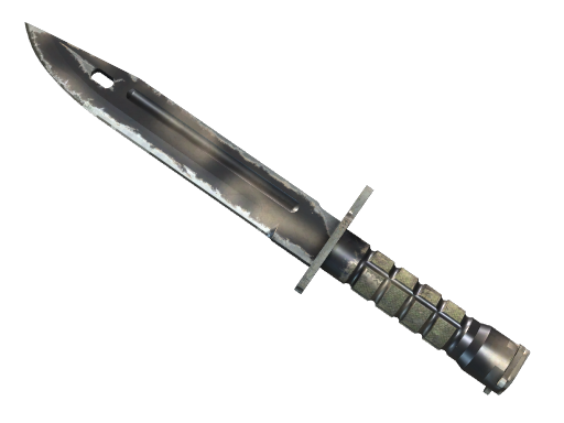 ★ Bayonet | Scorched (Well-Worn)