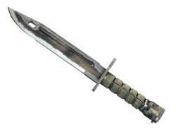 ★ Bayonet | Scorched