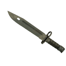 ★ Bayonet | Safari Mesh (Minimal Wear)
