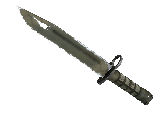 ★ Bayonet | Safari Mesh (Well-Worn)