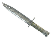 ★ Bayonet | Urban Masked (Battle-Scarred)