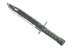 ★ Bayonet | Night (Battle-Scarred)