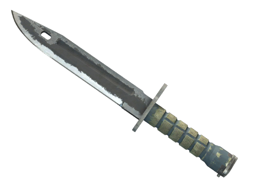 ★ Bayonet | Night