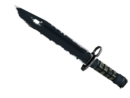 ★ StatTrak™ Bayonet | Night (Well-Worn)