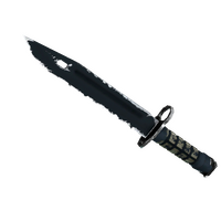 ★ Bayonet | Night (Field-Tested)