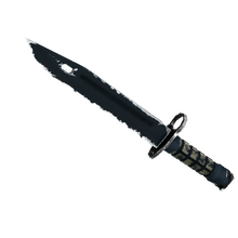 ★ Bayonet | Night (Field-Tested)