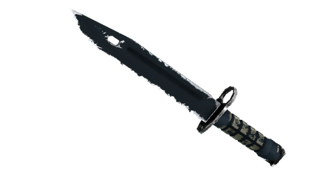 ★ StatTrak™ Bayonet | Night (Field-Tested)