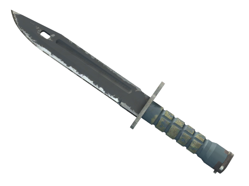 ★ Bayonet | Night (Well-Worn)