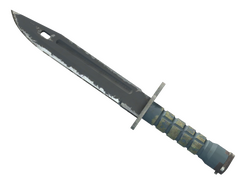 ★ Bayonet | Night