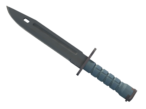 ★ Bayonet | Night (Well-Worn)