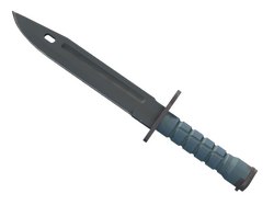 ★ StatTrak Bayonet | Night