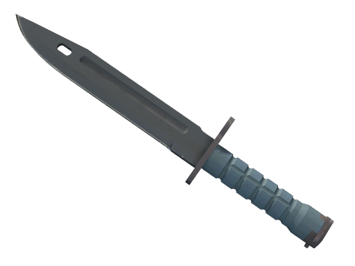 ★ StatTrak Bayonet | Night