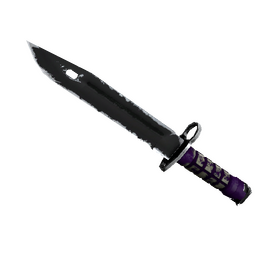 free csgo skin ★ Bayonet | Ultraviolet (Well-Worn)