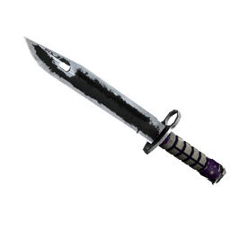 free csgo skin ★ StatTrak™ Bayonet | Ultraviolet (Battle-Scarred)