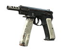 CZ75-Auto | Imprint