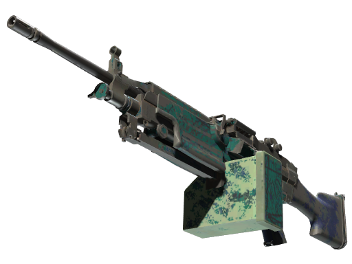 M249 | Shipping Forecast (Battle-Scarred)
