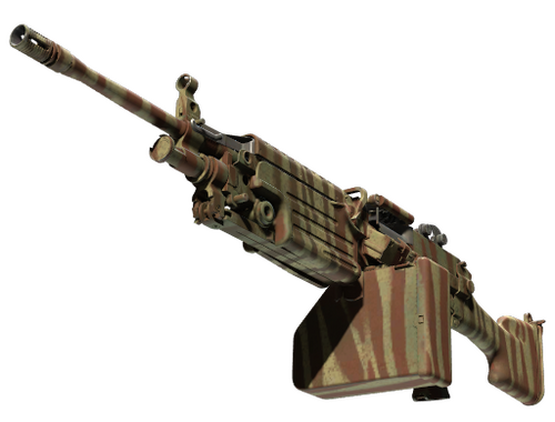 M249 | Yırtıcı