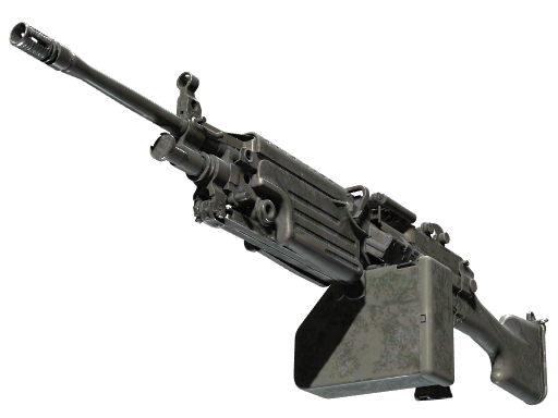 M249 | Midnight Palm