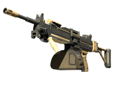 Negev | Wüstenschlag