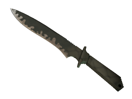 ★ StatTrak Classic Knife | Safari Mesh