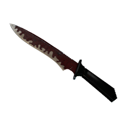 ★ Classic Knife | Crimson Web (Battle-Scarred)