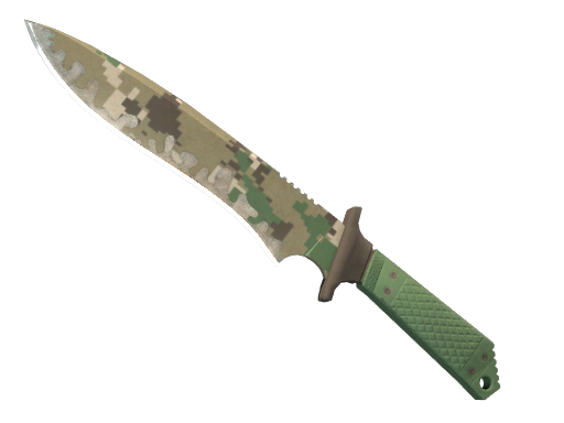 ★ Classic Knife | Forest DDPAT (Well-Worn)