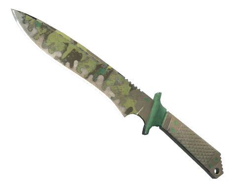 ★ Classic Knife | Boreal Forest (Battle-Scarred)