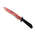 ★ Classic Knife | Slaughter (Field-Tested)