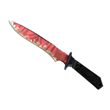 ★ Classic Knife | Slaughter (Field-Tested)