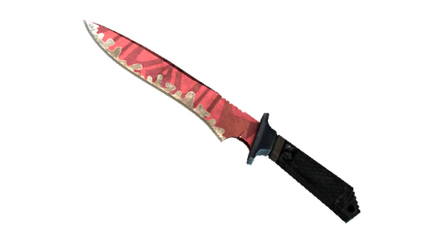 ★ StatTrak™ Classic Knife | Slaughter (Field-Tested)