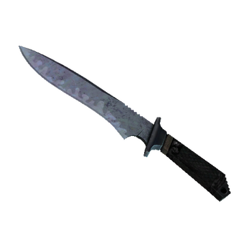 ★ Classic Knife | Blue Steel (Minimal Wear)
