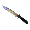 ★ Classic Knife | Case Hardened <br>(Well-Worn)
