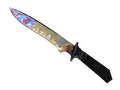★ Classic Knife | Case Hardened