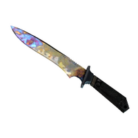 ★ Classic Knife | Case Hardened (Well-Worn)