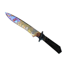 ★ Classic Knife | Case Hardened (Well-Worn)