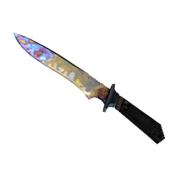 ★ Classic Knife | Case Hardened (Well-Worn)