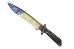 ★ Classic Knife | Case Hardened (Well-Worn)