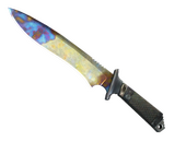 ★ Classic Knife | Case Hardened (Well-Worn)