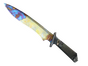 ★ Classic Knife | Case Hardened