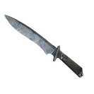 ★ Classic Knife | Stained (Minimal Wear)